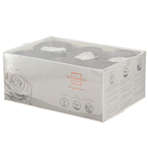 Floristik24 Infinity Roses valódi tartósított rózsafejek fehér Ø6cm 6 db