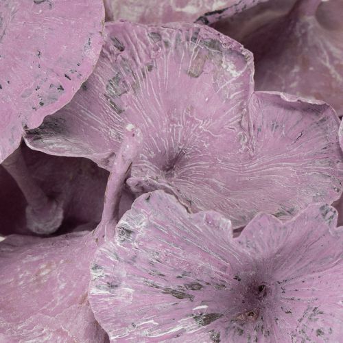 tételeket Kalix Gomba Lila, Fehérre Melegített 100 db