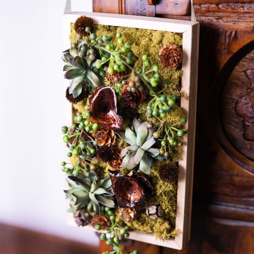 tételeket Kalix Gomba Natúr Lakkozott Száraz Gomba Dekoráció Nagy 50 db