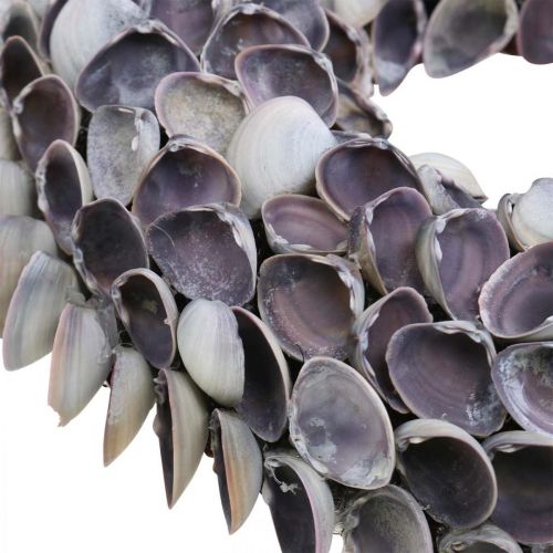 Floristik24 Kagylókoszorú, ibolya chips natúr kagylók, kagylóból készült gyűrű Ø25cm