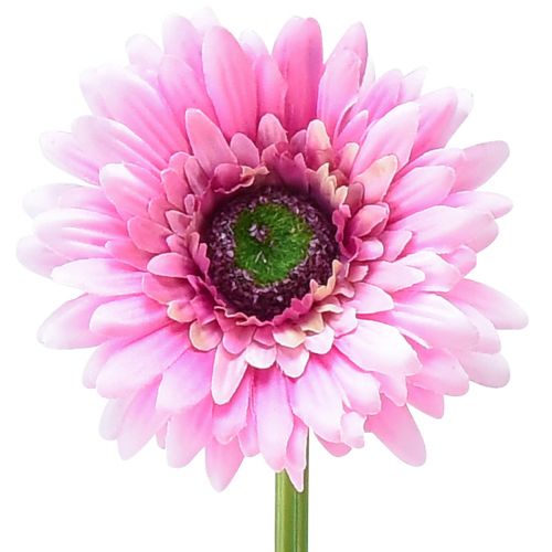 Művirágok Gerbera Kert Művirágok Pink 47cm