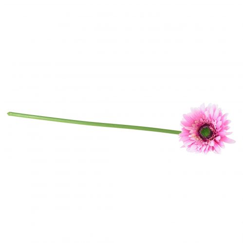 tételeket Művirágok Gerbera Kert Művirágok Pink 47cm