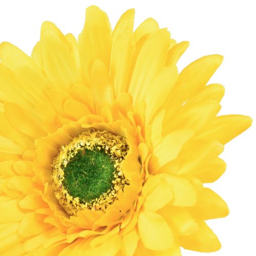 tételeket Művirágok Gerbera Sun Yellow Kerti Virág 47cm
