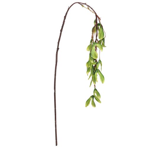 tételeket Műág platánfa sárgászöld 100cm 3db