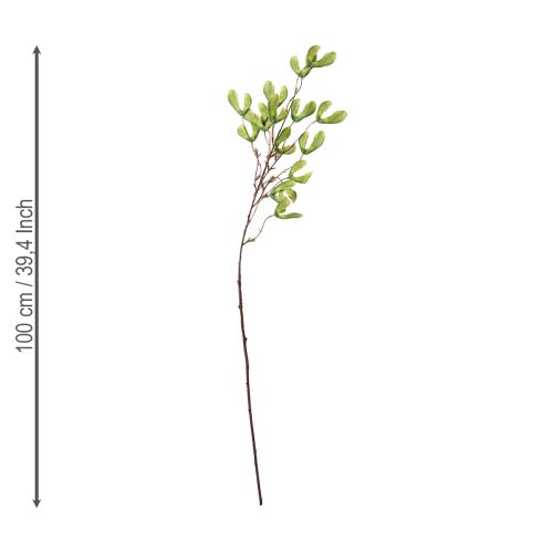 tételeket Műág platánfa sárgászöld 100cm 3db