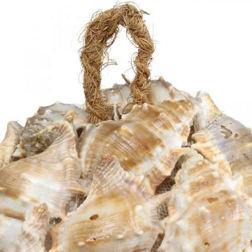 tételeket Dekoratív gömb csiga kagyló dekoráció lógó természetes Ø12cm