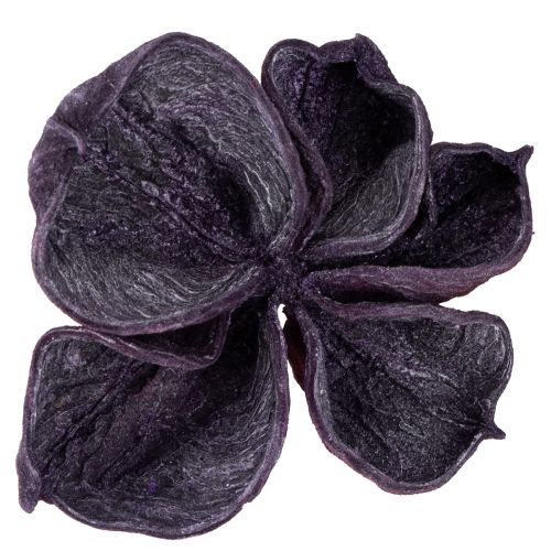 tételeket Landlotus Mix Blackberry, Old Pink 50 db