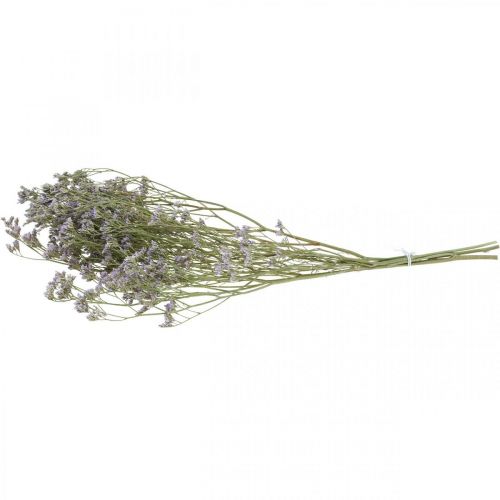 Floristik24 Száraz virágok, Tengeri levendula, Statice Tatarica, Tengeri levendula, Limonium Violet L45-50cm 30g