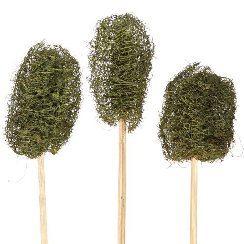 tételeket Luffa kis piskóta pálcikán uborka sötétzöld 5-7cm 25 db