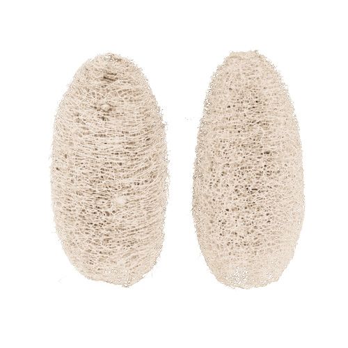 tételeket Luffa kis fehérített 50 db