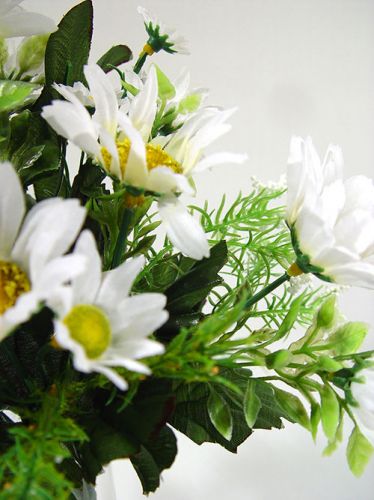 Floristik24 Kis csokor százszorszép