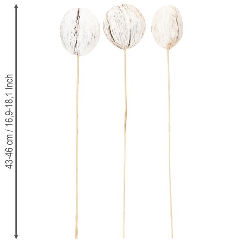 tételeket Mintolla golyós pálcika mix fehérre meszelve 6 db