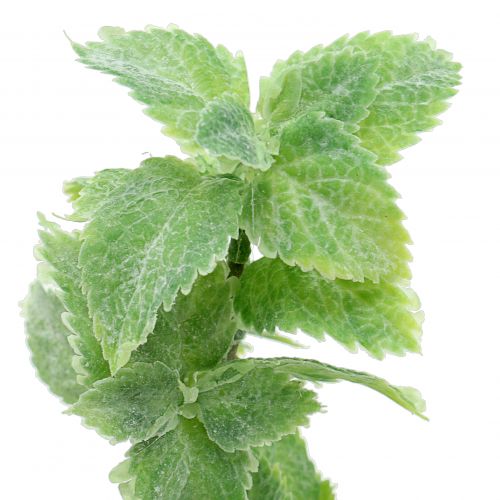 tételeket Menta műzöld 25cm 12 db