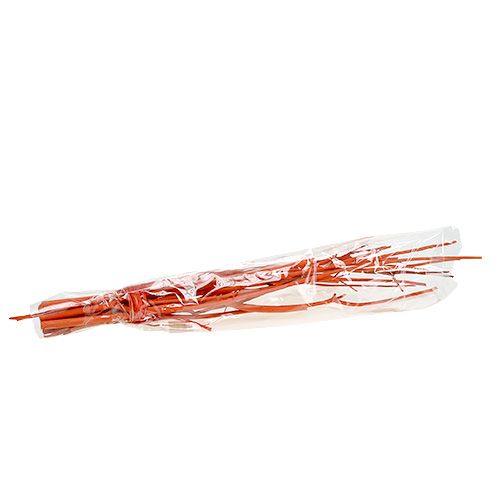 Floristik24 Mitsumata ágak narancs 34-60cm 12db