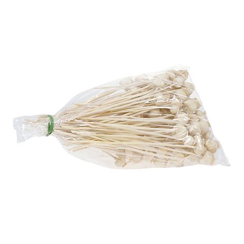 Floristik24 Mákfejek fehérítve 100 db