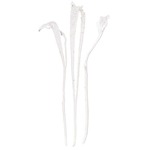 tételeket Natraj agancsfa keverék fehérítve 10 db