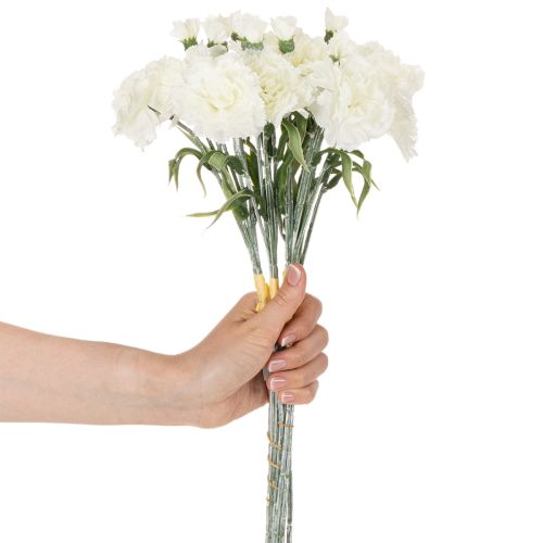 tételeket Műszegfű, fehér, 40 cm, 4 darab