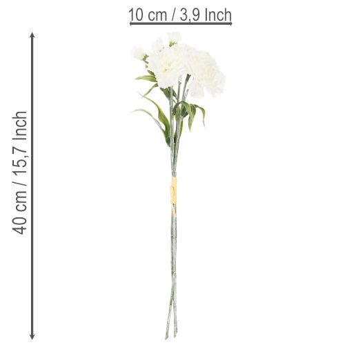 tételeket Műszegfű, fehér, 40 cm, 4 darab
