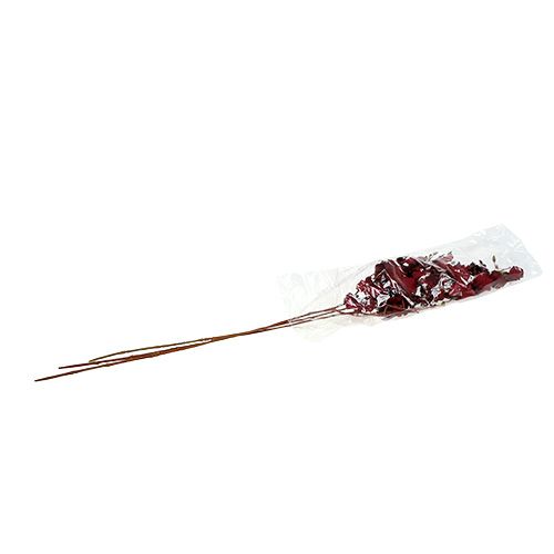 Floristik24 Orchid Oncidium 70cm sötétvörös 3db