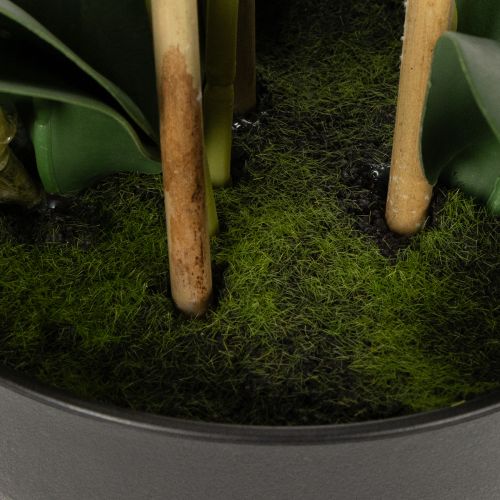 tételeket Műorchidea cserépben a harmonikus hangulatért, fehér, 60 cm