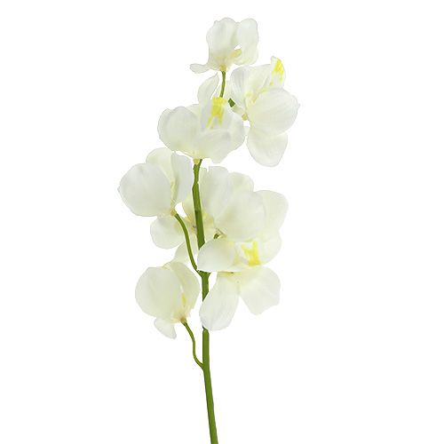 tételeket Mesterséges orchidea krém 50cm 6db