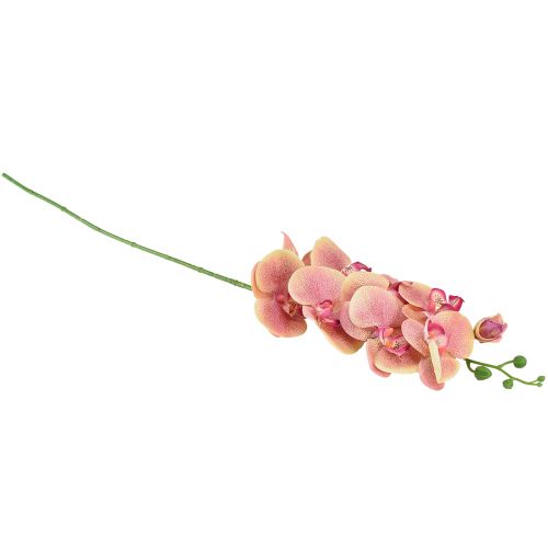 tételeket Orchidea Phalaenopsis mű 9 virág rózsaszín vanília 96cm
