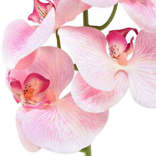 tételeket Orchidea Phalaenopsis mű 9 virág rózsaszín fehér 96cm