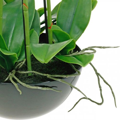 Floristik24 Mesterséges orchideák cserépben fehér műnövény 63cm