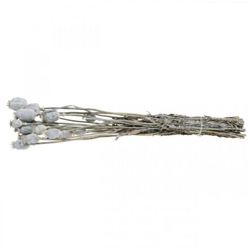 Floristik24 Deco Poppy White szárított virágok Mák kapszula Papaver 75 g-os csokor