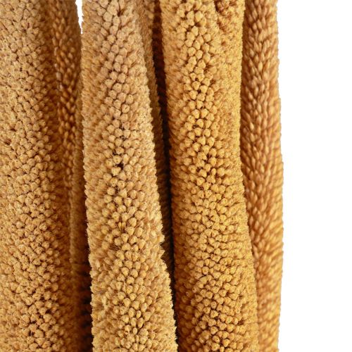 tételeket Elegáns kölespermet dekoráció virágkötészethez