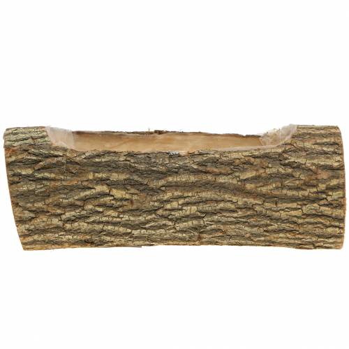 Floristik24 Ültető szilfa 29cm x 11cm H10cm