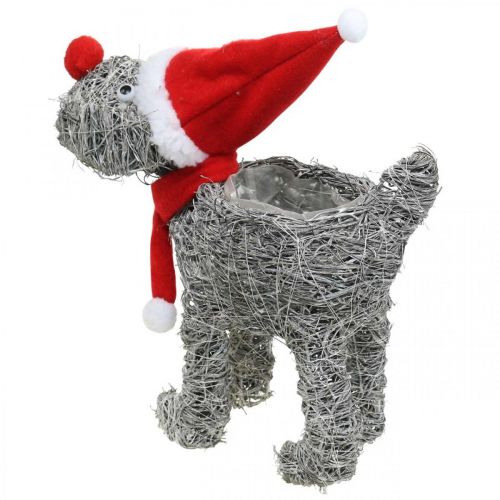 tételeket Ültető kutya, karácsonyi dekoráció, növénykosár, Advent H30cm L29,5cm
