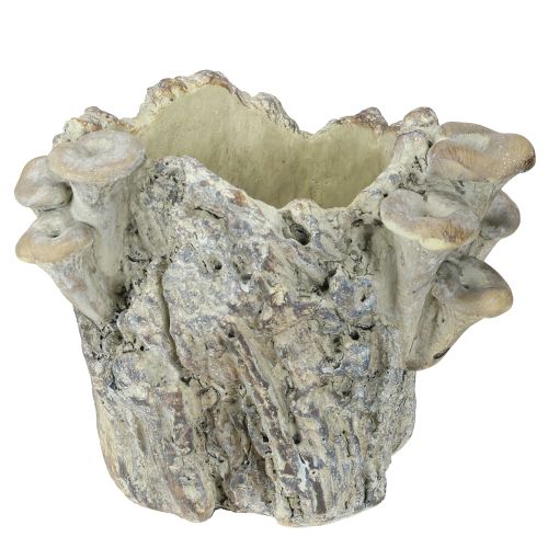 tételeket Kaspó öntött kőből, gombával, fatönk, 16cm