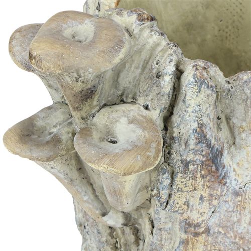 tételeket Kaspó öntött kőből, gombával, fatönk, 16cm