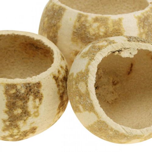 tételeket Sütőtök dekoráció Bell Cup Tökpohár fehérített 50 db