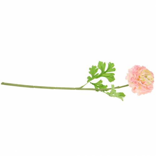 tételeket Ranunculus rózsaszín H45cm