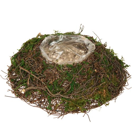 tételeket Szőlőtőkéből készült kerek ültetőtál mohával és fóliával díszítve