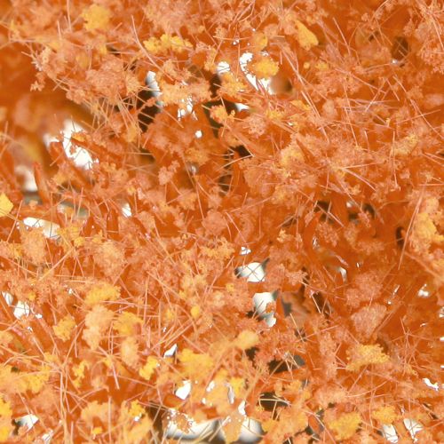 tételeket Cickafark művirág Achillea műnarancs 30cm 6 db