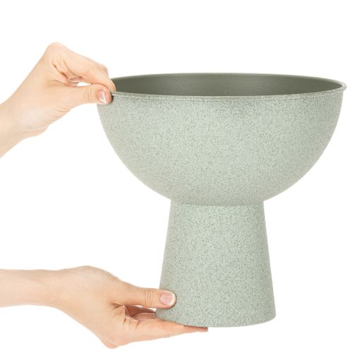tételeket Tál növénytartóval, dísztál, 25cm