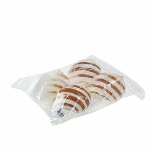 Floristik24 Tengeri csiga hordó csiga natúr 10-12cm 4 db