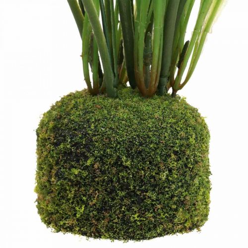 Floristik24 Műhóvirág, műhóvirág virág 25cm