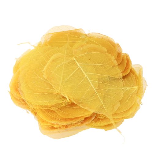 tételeket Csontvázas Bodhi levelek kreatív dekorációkhoz