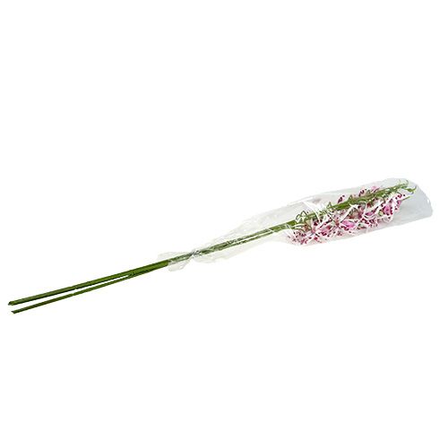Floristik24 Pók orchideák Brassia Pink-White 108cm 3db