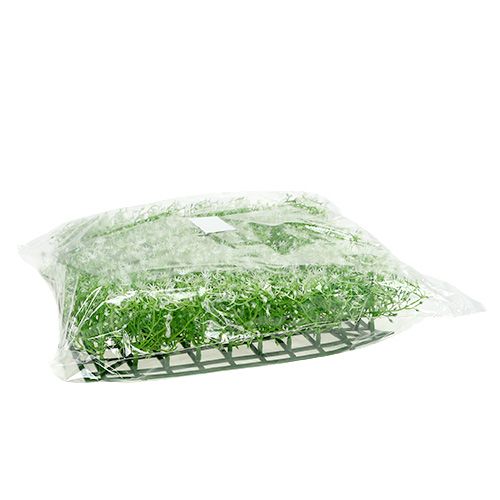 Floristik24 Csillagvirág matrac 25x25cm krém