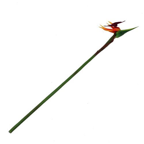 Floristik24 Strelitzia paradicsommadár virág 62cm