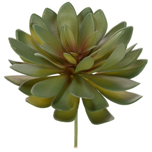 tételeket Mesterséges pozsgás dísznövényként, zöld, 18 cm, 3 darab