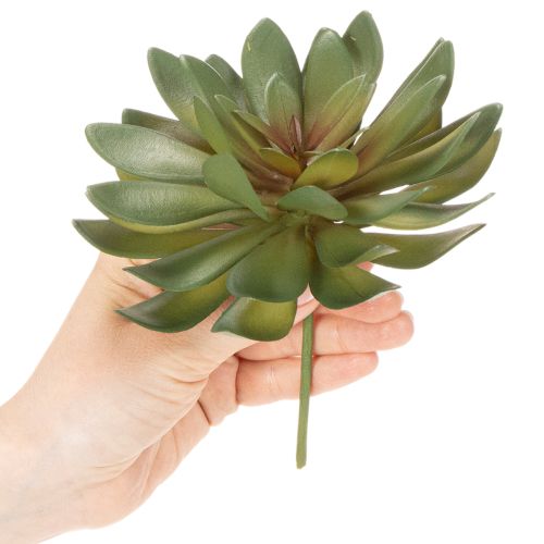 tételeket Mesterséges pozsgás dísznövényként, zöld, 18 cm, 3 darab
