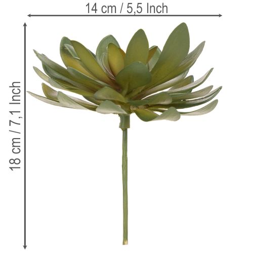 tételeket Mesterséges pozsgás dísznövényként, zöld, 18 cm, 3 darab