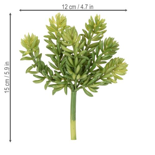 tételeket Pozsgás művirág lakó- és irodaterek alacsony karbantartási igényű kialakításához, 15 cm, 6 darab
