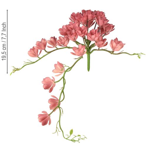 tételeket Mesterséges pozsgás 28 rozetta Aeonium régi rózsaszín 43cm